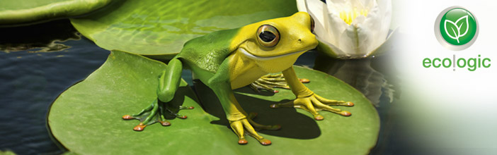 ecologic frog KÄRCHER